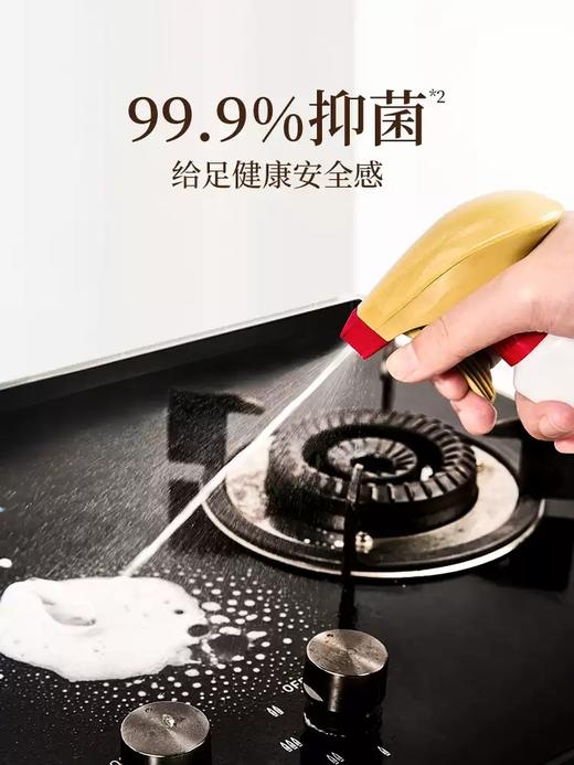 蔬果园厨房除重油污清洁剂600g加量装新款-3097 商品图4