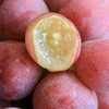 【大理•妮娜皇后葡萄】 顺丰空运到家 颜值诱人 香甜多汁 花香的清新 果香的鲜甜 奶香的醇蜜 酒香的层次 多种规格任选 商品缩略图4