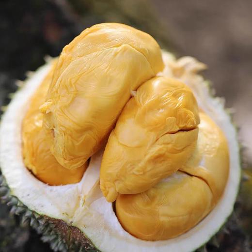 马来西亚黑刺榴莲D200 双A鲜果包5房 商品图2