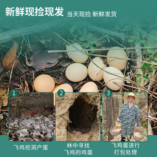 有机飞鸡蛋 商品图3