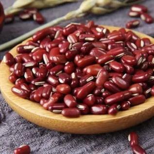 高原山地种植 | 云上古川云南墨江赤小豆/赤红小豆 粗粮杂粮食材 500g*3袋 商品图3