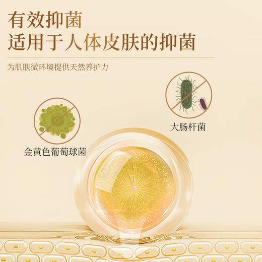 【总部自研】兰渚堂 白创粉 商品图3