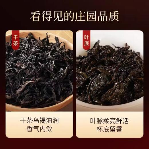 华祥苑 星时光 特级 肉桂 花果香 武夷岩茶 茶叶 盒装 商品图2