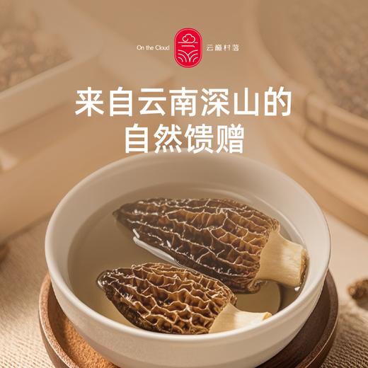 云南羊肚菌 商品图4