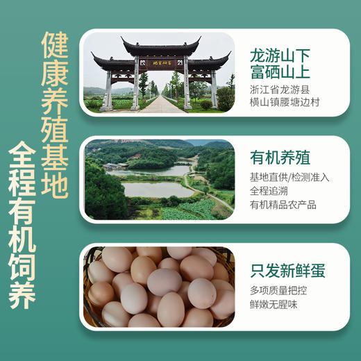 有机飞鸡蛋 商品图2