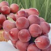 【大理•妮娜皇后葡萄】 顺丰空运到家 颜值诱人 香甜多汁 花香的清新 果香的鲜甜 奶香的醇蜜 酒香的层次 多种规格任选 商品缩略图7