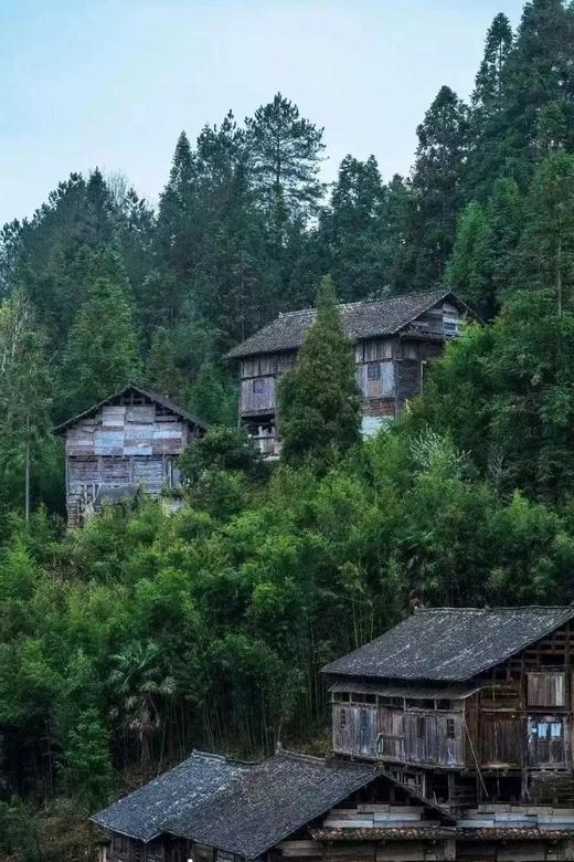 【寒假亲子】硬核贵州,VIP包场探索“地心迪士尼”,攀爬悬崖咖啡,房车森林露营,FAST天眼探秘!小七孔\古寨|5~65岁亲子 商品图4