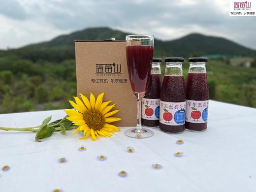 蓝苹果汁（有机蓝莓+有机苹果）纯果汁  天然果香 酸甜清爽 商品图0