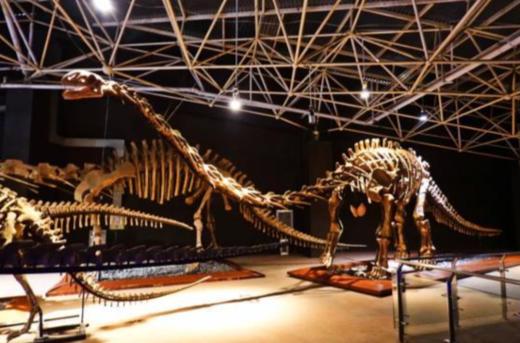 【暑期预告】探索5亿年生命密码 | 云南古生物科考营邀你开启时光之旅~ 商品图1