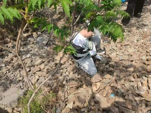 【暑期预告】探索5亿年生命密码 | 云南古生物科考营邀你开启时光之旅~ 商品图3