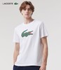 【5.7折】5楼法国鳄鱼LACOSTE男装时尚简约休闲日常logo正肩短袖T恤TH7513-98-2D8吊牌价690折后价390 商品缩略图0
