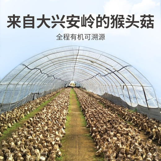 方家铺子 有机猴头菇150g/袋装 商品图7