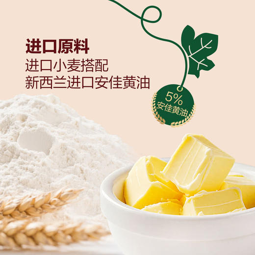 聚便利 X 山姆 TASTY ELF低糖小南瓜面包 商品图3