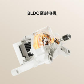 米家小米滚筒洗衣机全自动8公斤羊毛洗超薄机身智能洗一级能效租房XQG80MJ110 /家用电器 /大 家 电 /洗衣机