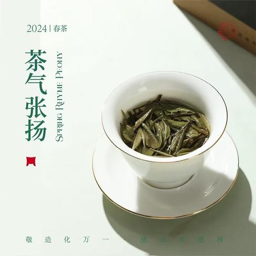 福鼎白茶丨2024年一叶九鼎  春韵牡丹二级白牡丹 500g 商品图4