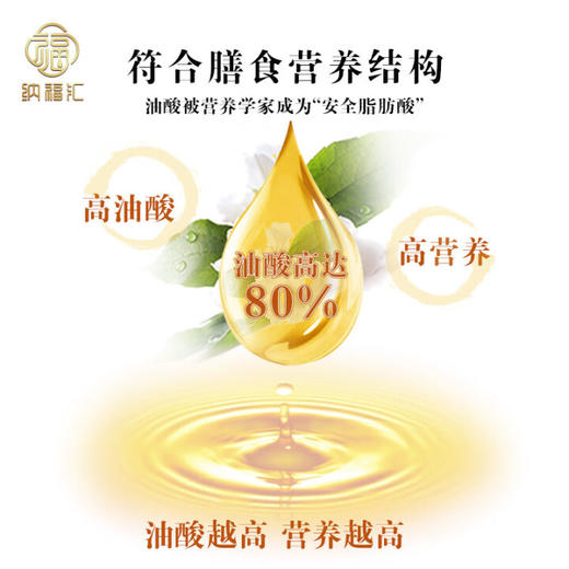 【1件包邮】纳福汇山茶油单瓶500ml 健康油烟少给适合全家 甘肃/青海/内蒙古/新疆/西藏/宁夏/海南/港澳台不发货 商品图2