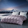 梦洁 95%美洲雁绒四季被：登峰520（星际紫 商品缩略图1