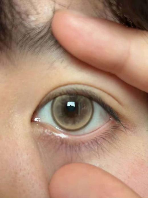 jellydoll 半年抛 祝福圣杯 直径14.5mm 商品图1