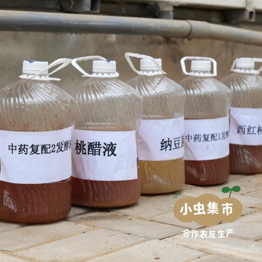 沃野青青露天有机菠菜 3斤 | 合作农友种植，来自陕西咸阳，生产者：郑力行 *【公平贸易农人定价】 商品图12