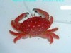 草莓蟹 商品缩略图1