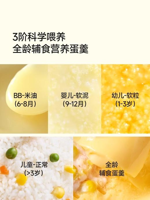 浦利顿隔水炖盅煮粥煲汤陶瓷内胆全自动电炖微压辅食锅bb煲普通隔水炖PLD-DGD20-20B 商品图2