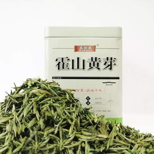 2025年新茶上市  五百里 霍山黄芽 100克/罐 商品图1