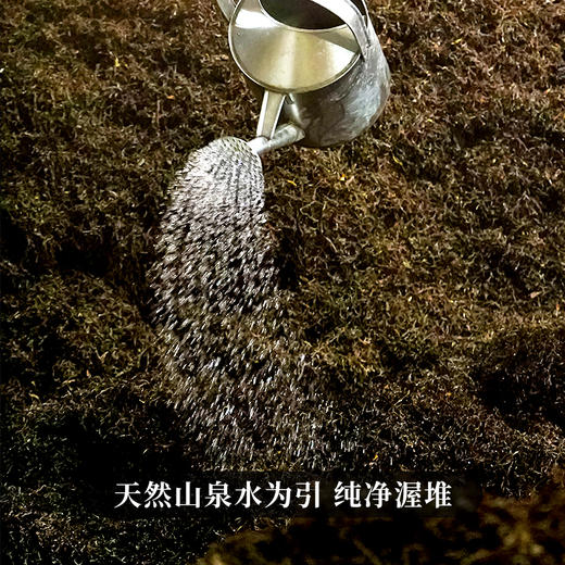 【十年陈熟茶龙珠】宫廷级用料2015年头春古树料山间活泉水发酵200克/罐，拍5发6拍20发25 商品图2