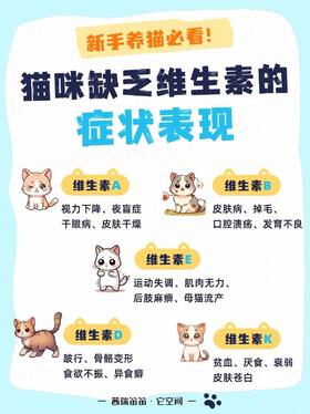 你知道，维生素对猫咪至关重要吗？