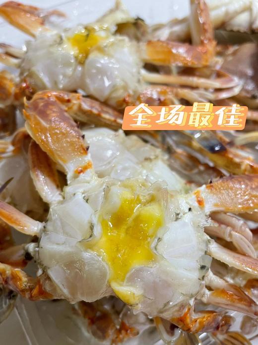 &本港扁蟹拥剑梭子蟹🦀壳薄肉多，纯吃肉的哦！新鲜]活冻 商品图3