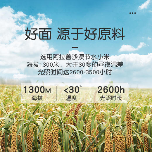 【小米蔬菜螺旋面220g*2】任小米意大利蔬菜螺旋面条斜管通心粉方便速食面无麸质儿童面条 商品图5