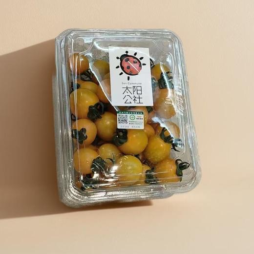 太阳公社有机小番茄 500g/份 商品图0