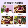 凝时紫露（速冻桑葚果茸） 桑葚汁 鲜果急冻锁鲜+物理压榨 自然香甜 500g*4瓶 商品缩略图6
