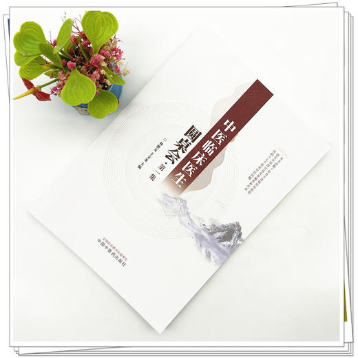中医临床医生圆桌会:第一集 林胜友 王文龙 主编 中国中医药出版社 商品图1