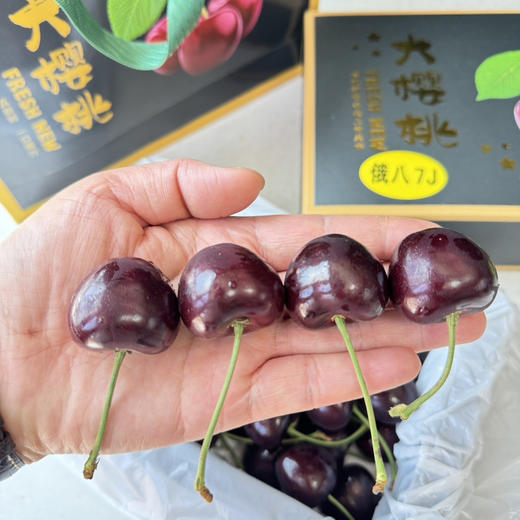 大连俄八7J车厘子 商品图5