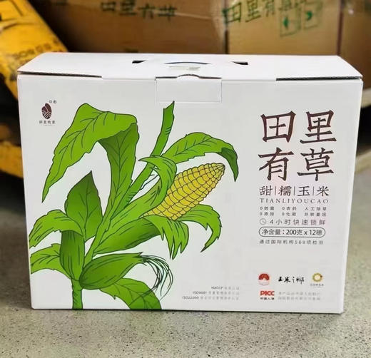 田里有草甜糯玉米 商品图7