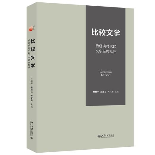 比较文学：后经典时代的文学经典批评 林精华；吴康茹；尹文涓 主编 北京大学出版社 商品图0