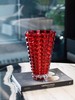 捷克进口BOHEMIA网红水晶玻璃花瓶婚礼插花欧式摆件红色客厅摆件波西米亚千禧花瓶(红)26cm 商品缩略图0