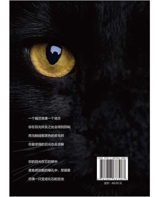 神秘的黑猫：象征与迷信（法）娜塔莉•塞姆努伊克 著 商品图2
