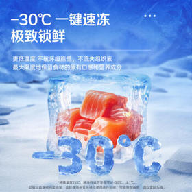 澳柯玛（AUCMA）208升单温冷柜家用减霜冰柜冷藏柜冷冻柜小型冷柜卧式顶开门冰箱一级能效 BC/BD-208HNE 以旧换新 /家用电器 /大 家 电 /冷柜