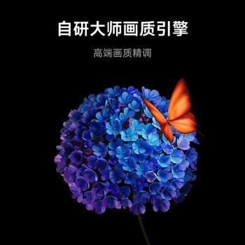 小米电视 S65 Mini LED 65英寸 392分区 1200nits【小户型精品推荐】 4GB+64GB L65MA-SPL 家电 /家用电器 /大 家 电 /平板电视 商品图5