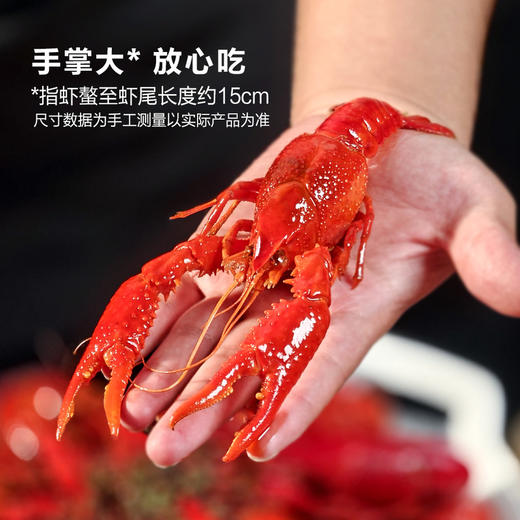 MM 山姆 Member's Mark 蒜蓉小龙虾 1.2kg（600g*2） 商品图2