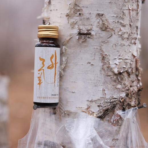 【斌哥优选】嘉桦浓缩白桦树汁,斌哥伊春溯源今年新汁。行业开创者，标准制定者，品质领航者。给大家带来优中选优的桦树汁。60多种营养物质。 商品图9