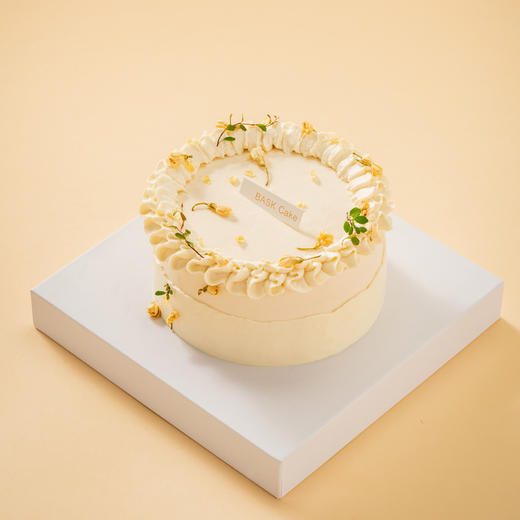 【网龙】满庭芳 3磅 （8英寸） 商品图4