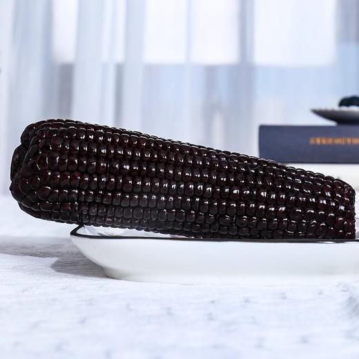 巧克力黑糯玉米有机种植富硒非转基因玉米棒早餐代餐 商品图3