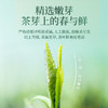 【臻尖-毛尖至醇】新茶 毛尖绿茶明前独芽80g*2罐 商品缩略图2