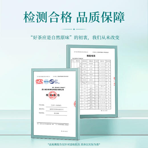 【臻尖-毛尖大成】新茶明前嫩芽毛尖绿茶蒙顶山新茶100g*2罐 商品图4