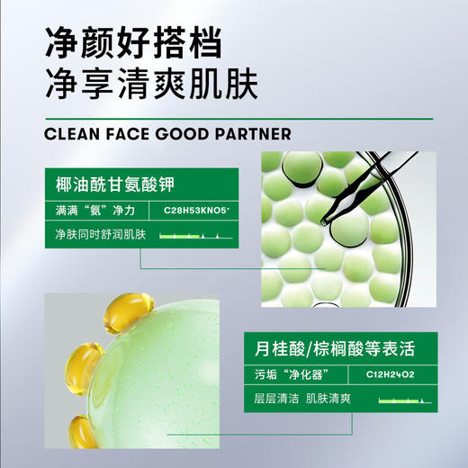 VT薇缔韩国进口老虎积雪草洗面奶深层清洁洁面乳 300ml/支 商品图3