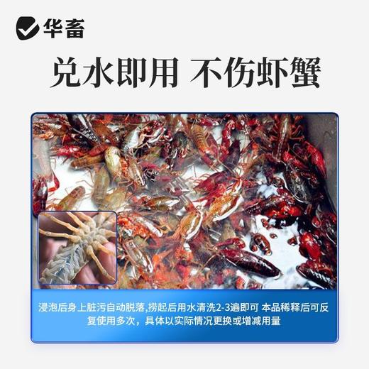 华畜洗虾液小龙虾专用清洗剂食用洗虾粉螃蟹黑壳商用柠檬酸去污粉 商品图3