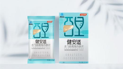 KJ健安适水飞蓟葛根丹参片8片装 随心携带装 商品图0