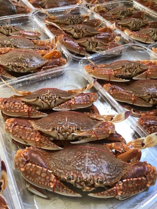 &本港扁蟹拥剑梭子蟹🦀壳薄肉多，纯吃肉的哦！新鲜]活冻 商品图1